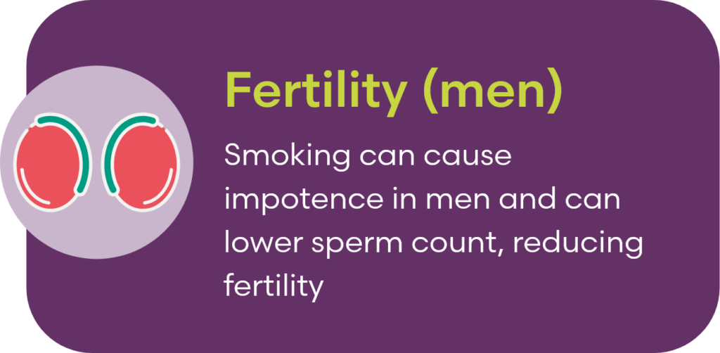 Fertility Men